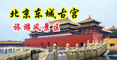 操美女小穴的网站中国北京-东城古宫旅游风景区